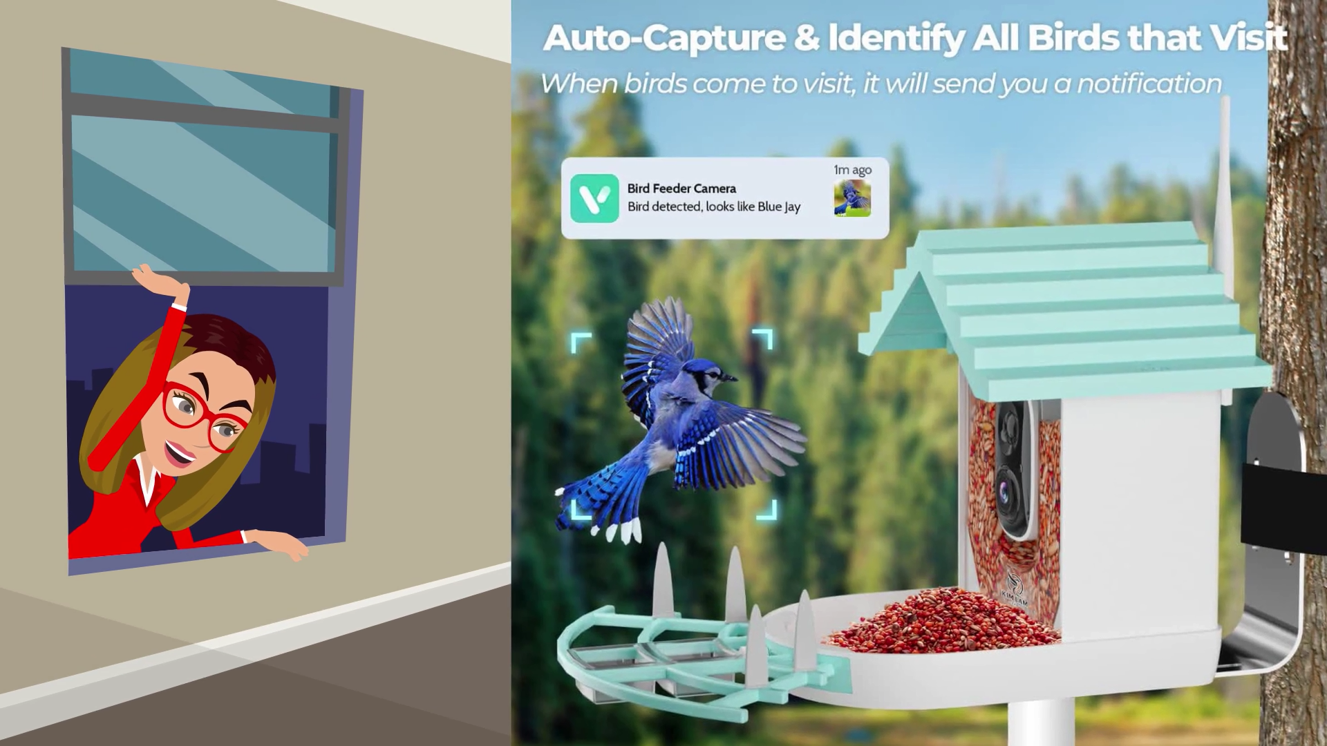 Product 2D Animation