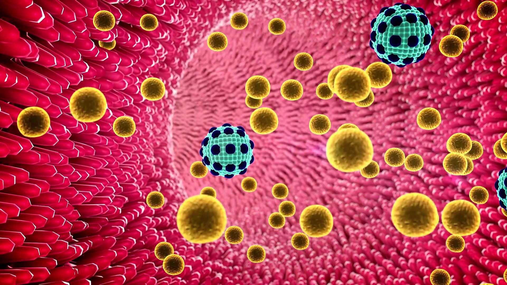 Product Use Tutorial